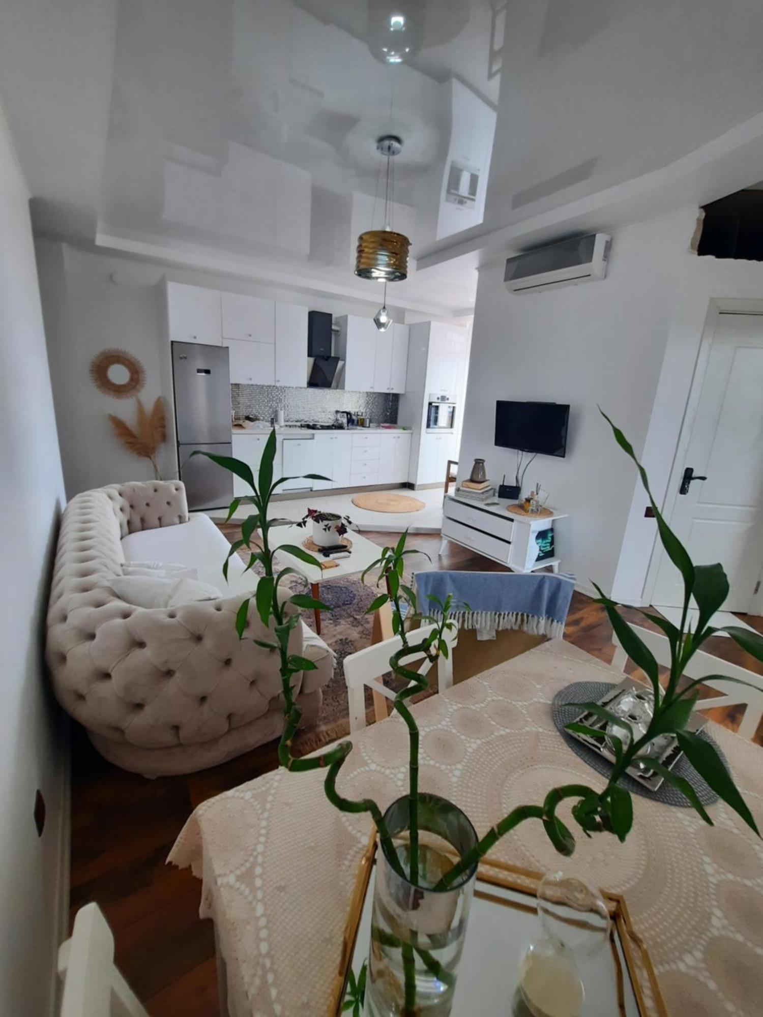 Sofia'S Apartment In קובולטי מראה חיצוני תמונה